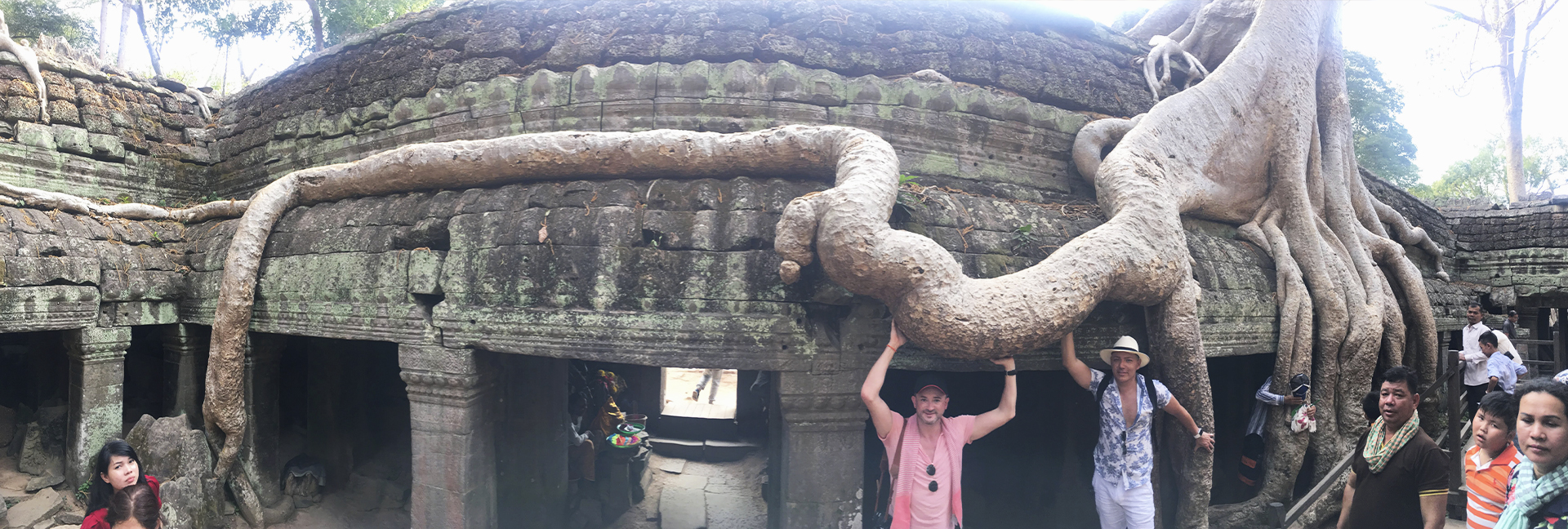 panoramica arbol gigante angkor wat camboya panoramica arbol gigante angkor wat camboya